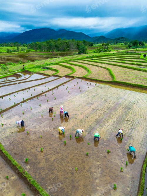 Preview: Beautiful morning view indonesia Panorama Landscape