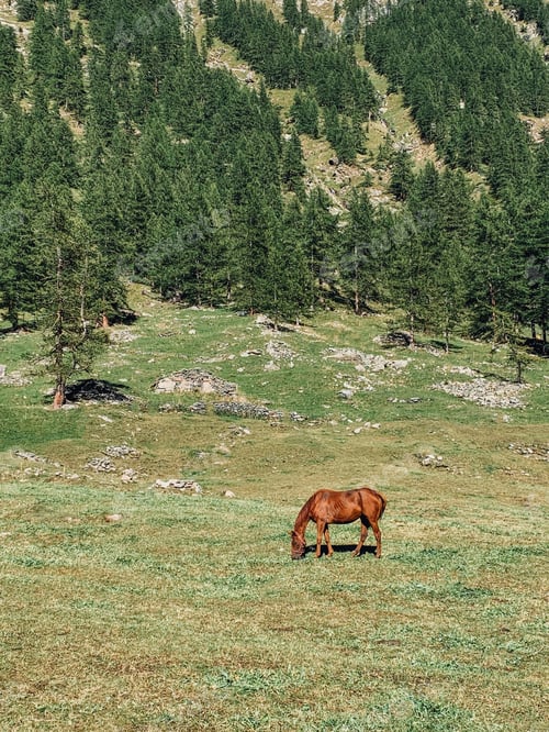 Preview: Mountain landscape.