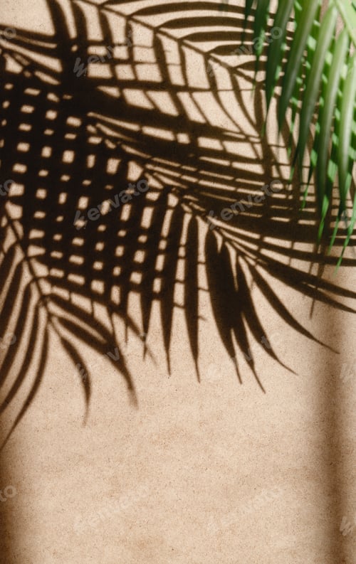 Preview: Tropics minimalist abstract blurred background of palm leaf shadow over kraft paper.