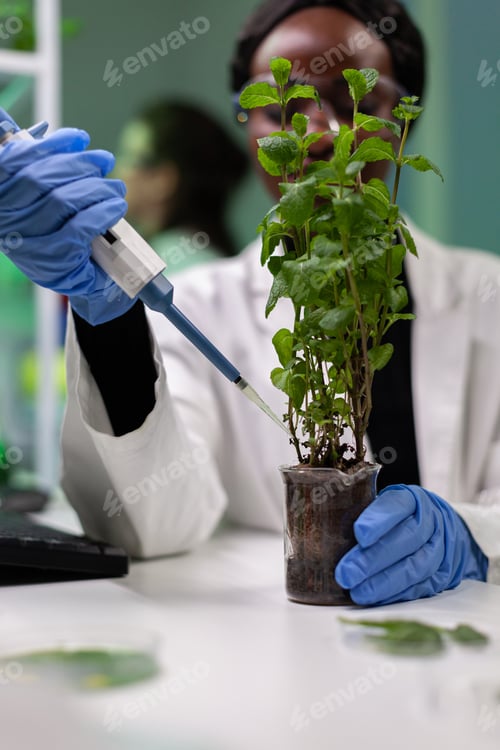 Preview: African american chemist researcher dropping liquid in sapling using micropippete