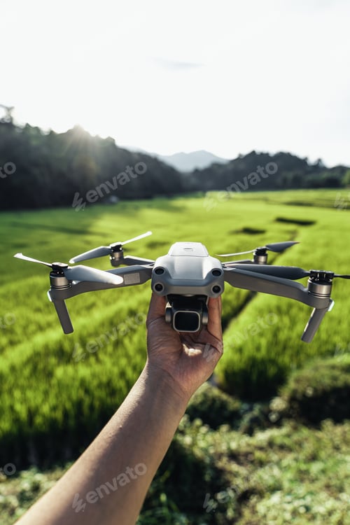Preview: Rice field ,Aerial view of rice fields