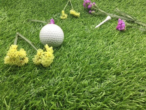 Preview: Golf in Spring