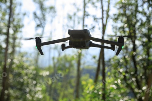 Preview: Flying drone in summer forest