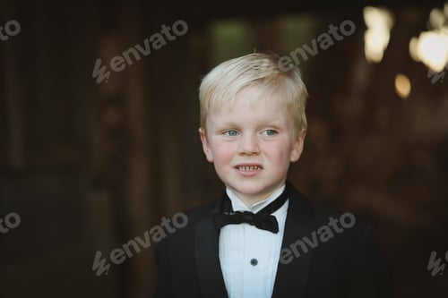 Preview: Portrait of a handsome young boy wearing a suit and bow tie for a special occasion