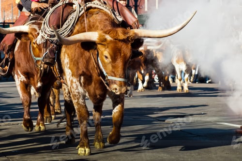 Preview: Texas Longhorns