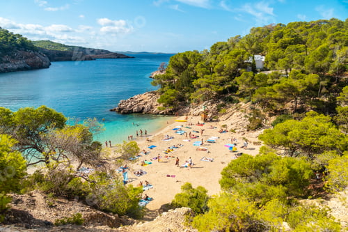 Preview: Vacation concept, paradisiacal beaches on the coast of Ibiza, Playa Salada and Saladeta. Balearic