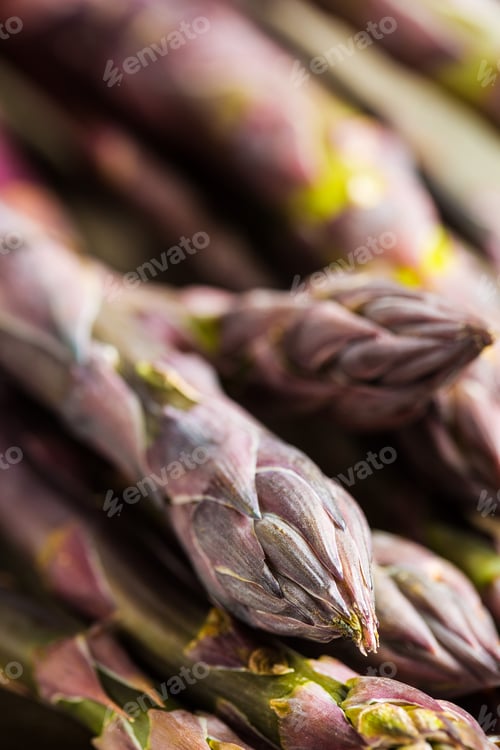 Preview: Fresh purple asparagus.