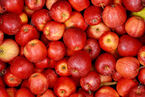 Preview: Delicious red apples. Healthy diet food concept.