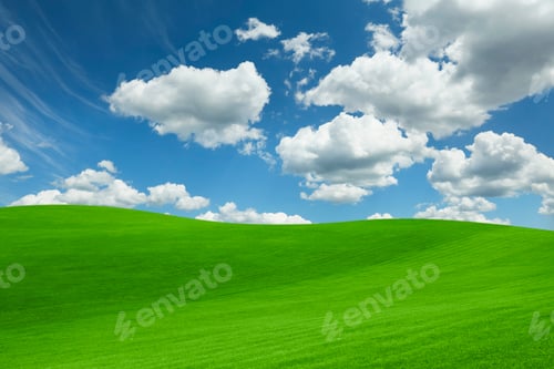Preview: Lush green grass under bright blue sky with fluffy clouds