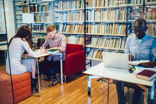 Preview: Diverse students doing homework near bookshelves