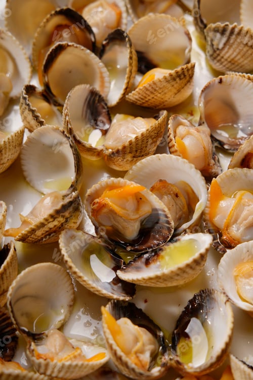 Preview: approach of appetizing cooked cockles