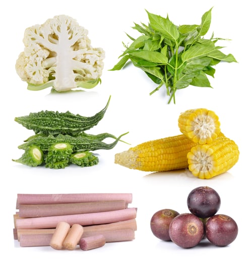 Preview: Gumnema inodorum, Bitter melon, lotus stem, Flacourtia, corn on
