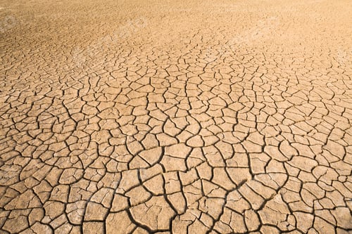 Preview: View of dried cracked mud on floodplain, Djoudj National Park, Senegal