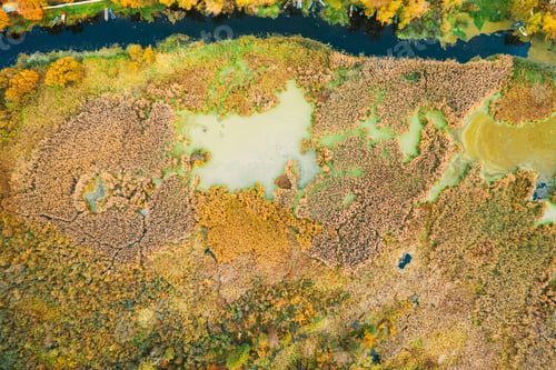 Preview: Aerial View Of Green Grass Landscape. Top View From High Attitude In Summer Evening. Marsh Bog