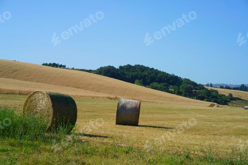 Preview: Rural landscape near Buonconvento, Tuscany, Italy