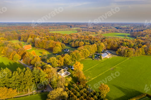 Preview: Clearings in the forest of Veluwe