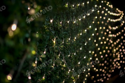 Preview: Beautiful Christmas bokeh lights for background