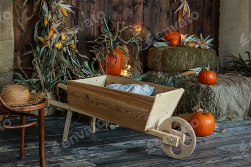 Preview: Pumpkins on a wooden floor in a barn. Harvested autumn crop.