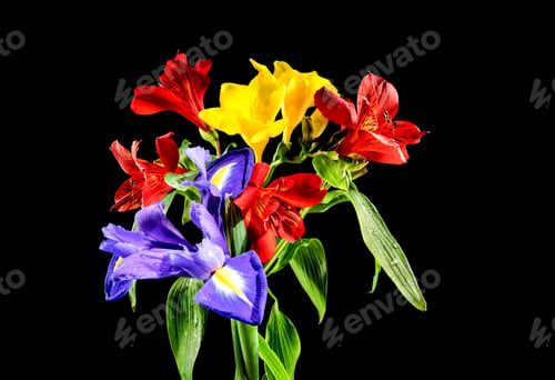 Preview: Tricolor bouquet on a black background