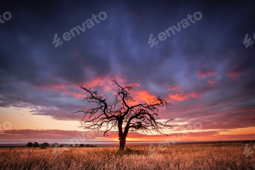 Preview: Gnarly Tree