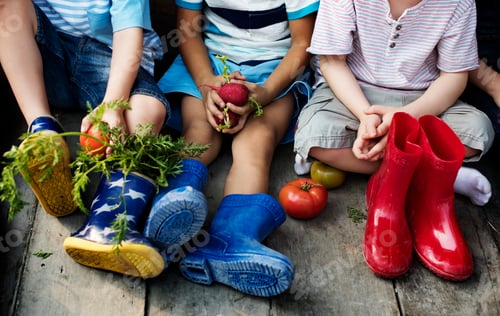 Preview: Group of kindergarten kids little farmers learning gardening