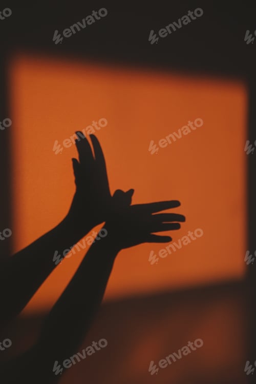 Preview: Shadow of a bird soaring in the sky in the rays of the sunset on the wall