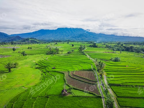 Preview: beautiful morning view from Indonesia of mountains and tropical forest