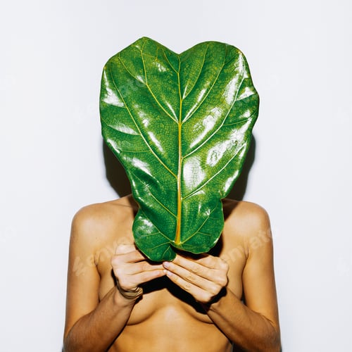 Preview: Big Green Leaf and Body. Bio concept. Modern art
