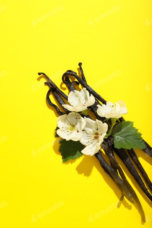 Preview: Concept of aromatherapy with aromatic vanilla extract