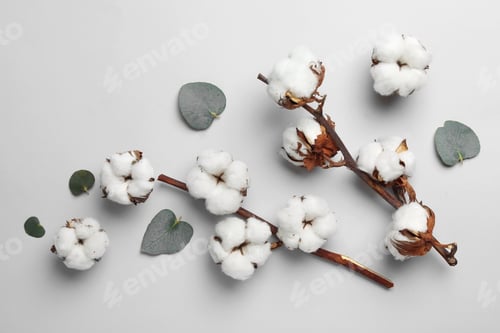 Preview: Flat lay composition with cotton flowers on light grey background