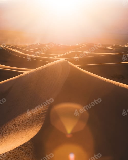 Preview: Desert with sandy dunes at bright sunrise
