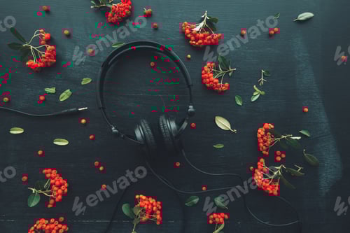 Preview: Flat lay audio headphones on dark background