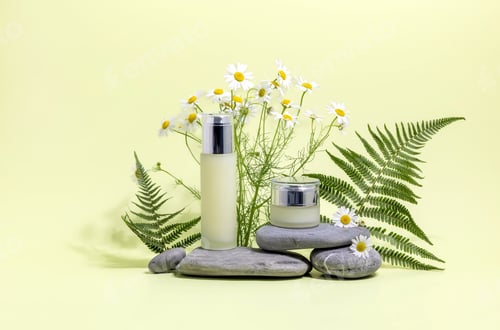 Preview: cosmetics containers on a stone podium surrounded by fern leaves and chamomile on a light background