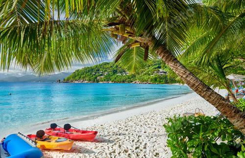 Preview: Beach with kayaks and palm tree at Seychelles