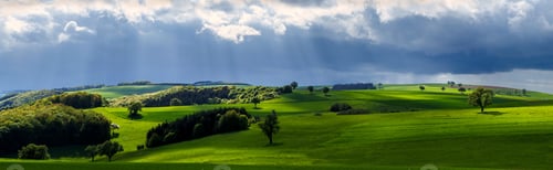 Preview: Beautiful scenery of a green landscape with trees under a cloudy sky