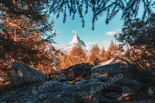 Preview: Matterhorn mountain with golden pine forest covered in autumn at Grindjisee lake, Switzerland