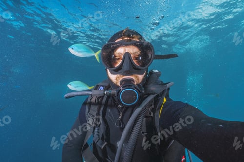 Preview: selfie of a scubadiver in the great barrier reef