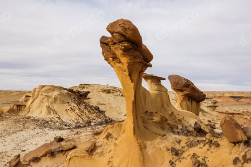 Preview: Bisti