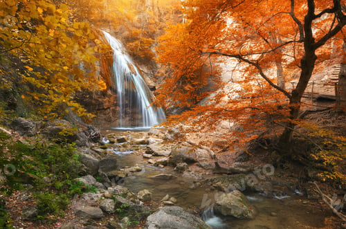 Preview: Autumn waterfall and rill flow.