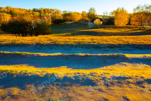 Preview: Golden Light on Trees and Grassy Landscape