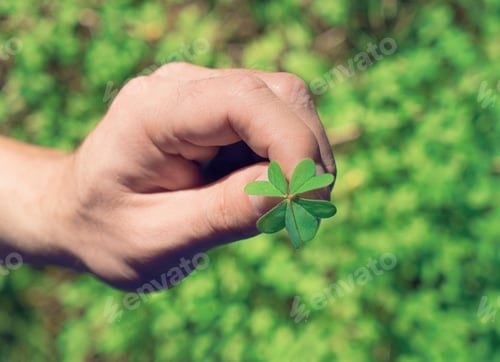 Preview: Man's hand holds a green leaf of clover. St.Patrick's Day concept, toned, selective focus