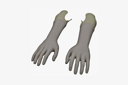 Palms with wristbands, lateral view