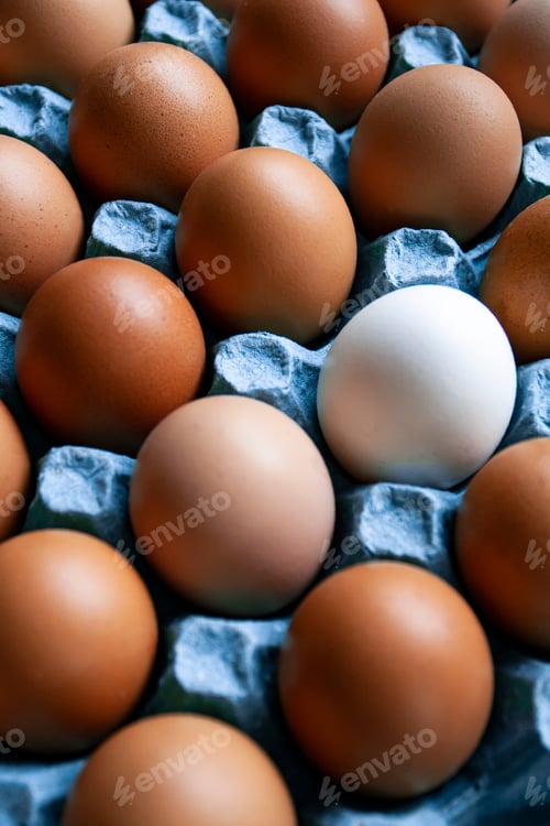 Preview: Concept photo: tray of beige eggs and one white egg