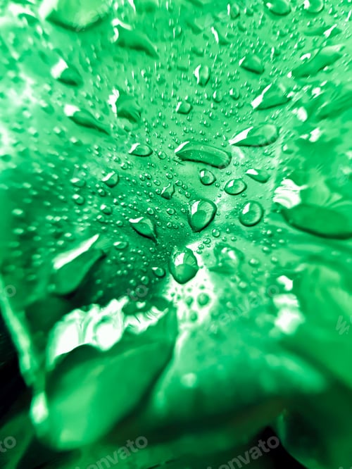 Preview: abstraction on a green background with water droplets.