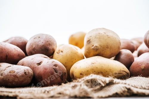 Preview: selective focus of organic raw potatoes on brown rustic sackcloth isolated on white