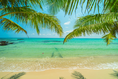 Preview: Beautiful paradise island with sea and beach landscape