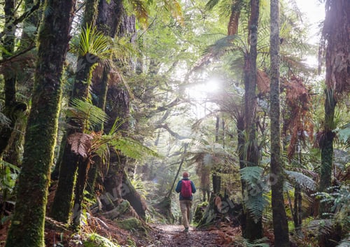 Preview: Tramping