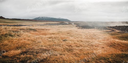 Preview: Landscape of green and leafy pastures in the mountainous valleys of Iceland.