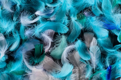 Preview: seamless background with blue, green and turquoise soft feathers isolated on black