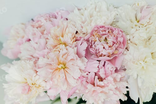 Preview: Beautiful peonies bouquet on rustic background. Stylish floral greeting card with space for text